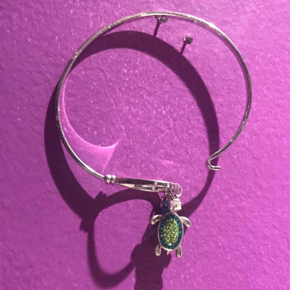 Adjustable turtle bracelet